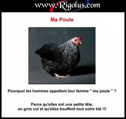 ma poule